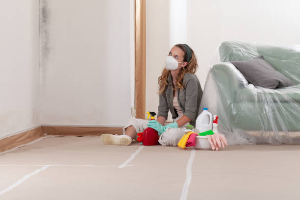 Reliable Mold Remediation contractor in Williamston, MI by WQB Mold Removal